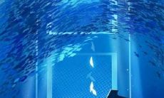 一些最美丽的有关友情和爱情的句子，让你相信它们存在并会持续，喚醒生命中的感动和温暖