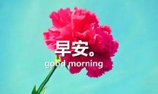 如何在每个早晨醒来时，通过温暖的语句和充满正能量的简短句子，迎接新的一天？