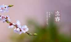 中华传统文化中描写立春的诗词：传承千古的文化审美之美