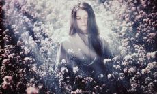 经历伤痛的人倾诉心声：内心疼痛到渴望忘却一切痛楚的句子