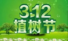 植树节网络社交时代:分享植树照片装点朋友圈,推广环保观念,引导全民参与筑绿行动