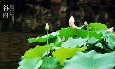 在谷雨的季节里,送上真挚的祝福和问候语,愿春天的气息带来欣欣向荣的生活!