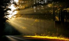 141句唯美句子，让你感受阳光的温柔和美好