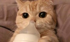 一份充满温馨和可爱的说说句子，让你感受到无限的幸福和快乐！