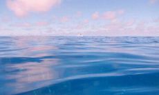 精炼而悦耳的广告口号