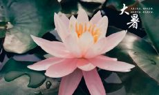 生活中也需要保持开心心态的句子:快乐与幸福是每个人都可以拥有的,无需依靠其他人