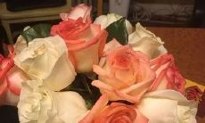 繁花似锦，芬芳馥郁——朦胧中描绘玫瑰花的唯美句子