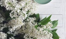 厚重情谊永不离，真挚友谊永不弃：关于友情的一些话