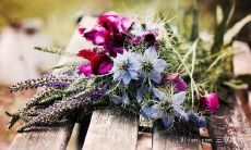 万能句子:探讨亲情的影评中的不可或缺元素