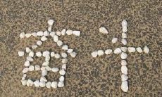 充满正能量的引人向上的勤奋好学句子，为你注入动力！