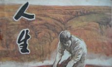 忘记过去:探索生活最高境界的感悟与思考