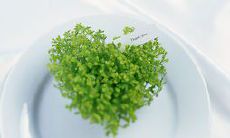 探索友情力量：回顾动漫中的经典友情语句