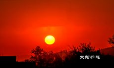 美容院每日早晨通过短信向客人发送的问候语句，用以展现关怀与温暖之情，促进客人感官与心理的愉悦体验