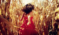 萦绕心头，让人感受到真挚情感的句子，如同在你身边呼唤着你，让你激动不已的那些世界