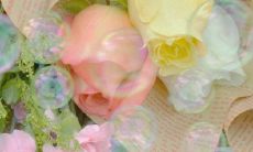 感受温柔春天的文案句子:用简短短句为您呈现春天温婉之美