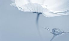 经典谈话：推荐必评的13期实用建议和人性见解