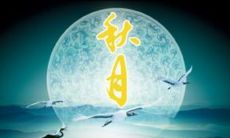 一些绝美的文学句子:用文艺之笔绘制出秋月的壮丽景象