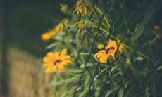 展现之美:充满温馨与感动的明信片上的亲情唯美句子