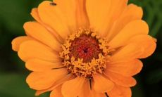 2022年最简短、但唯美优美的祝福语句