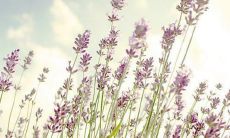 感悟亲情的励志句子,分享内心真实感受