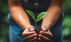 深切关注他人并传递情感的一句话