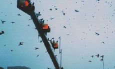 那些让人肝肠寸断、心如刀割的最伤感、最心痛的句子短语