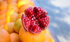 透过细腻的情感描写体现出感人至深的亲情纽带:一组充满温馨细节的句子