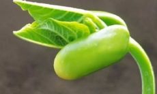 早安励志正能量句子,为你们的一天注入动力和活力!