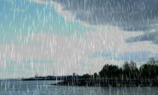 夏至时刻雨水相迎:深情问候的短信