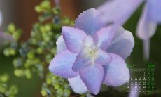 用抖音传递深刻亲情的句子,引发感动与共鸣