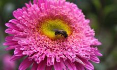 以深刻表达家庭情感为主题的句子写作策略