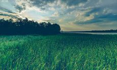 唯美的正能量短句:河南的疫情中正面力量涌现,那些感人至深的言语印证了人类真正的温情和强大的凝聚力!