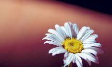 深情回顾亲情起点的十佳成长经典句,感悟亲情的伟大力量!