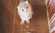 一些有趣的短语,可以用来让他人感到开心并放松心情的方法