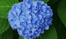 珍爱亲情，分享心情：关于亲情的句子和短语