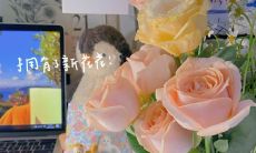 「十月萌萌又俏皮的文案推荐:陪伴你告别蓝瘦香菇的秋日」