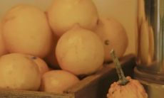 整合了各种祝福内容的丰富、全面的短信合集:祝福短信大全