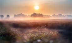 探寻2022年人生意义的启示性座右铭句子:从质朴的生活中寻找真正的幸福