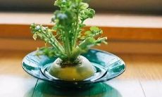 尽可能长一些的改写标题为:展现青春时光的简洁又文艺的小清新短句,让人沉醉其中