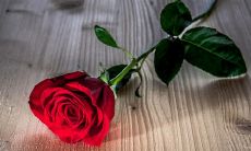 在这个喧嚣的时代里,珍爱亲情——不可或缺的一笔伟大财富!