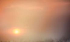 彻底失望人生：我被虚假的希望和现实的冷酷撕成了碎片