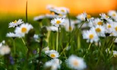 欣喜万分的文艺句子,让你在文字世界里感受无限美好!