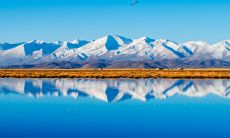 超长版：如何给你的女友发送一条温馨、浪漫、引人注目的晚间问候短信？