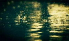 34句下雨天幽默正能量的句子,让你充满动力和勇气!