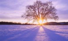 「魅力四溢，洁白无瑕，铺天盖地的美妙世界」——形容下雪的优美句子