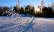 展现冬日景色的绝美文字:优美句子和段落描绘缤纷飘雪的壮丽景象