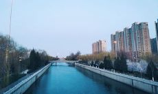 隔离期终于结束了！快来听听我在这14天里经历的24段故事