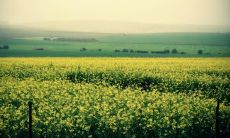 孝顺和陪伴比财富更具价值:亲情永恒,金钱易逝