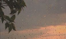 放弃一个人心累的句子，或许是为了摆脱痛苦，但却不得不直面心理困境，探究自我成长的途径