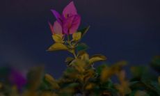 用讽刺手法的特别真实的句子,反映社会现实